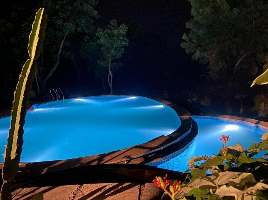 Amaltas Villa Udaipur Exterior foto