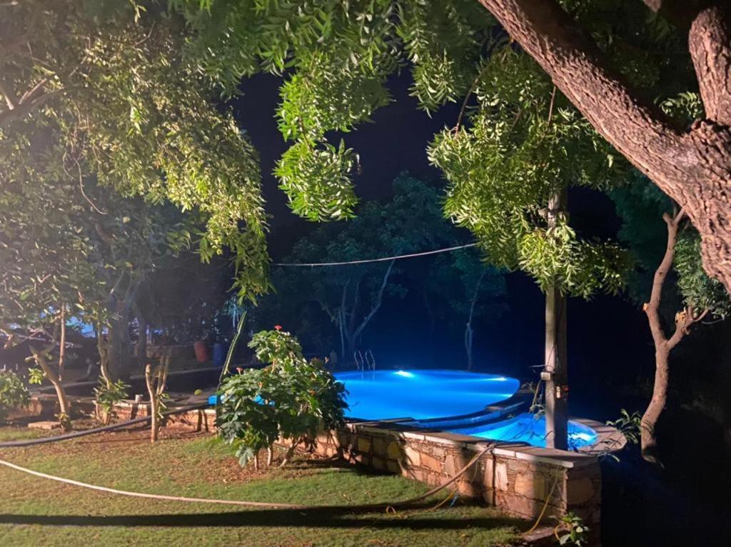 Amaltas Villa Udaipur Exterior foto